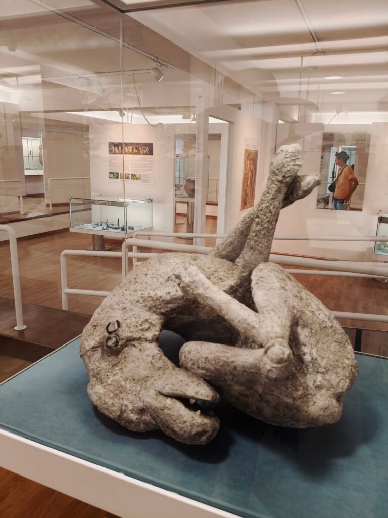 Qué ver en Pompeya - Guía Completa para Visitar el Parque Arqueológico de Pompeya 9 Calco petrificado de perro encontrado en el parque arqueológico de Pompeya