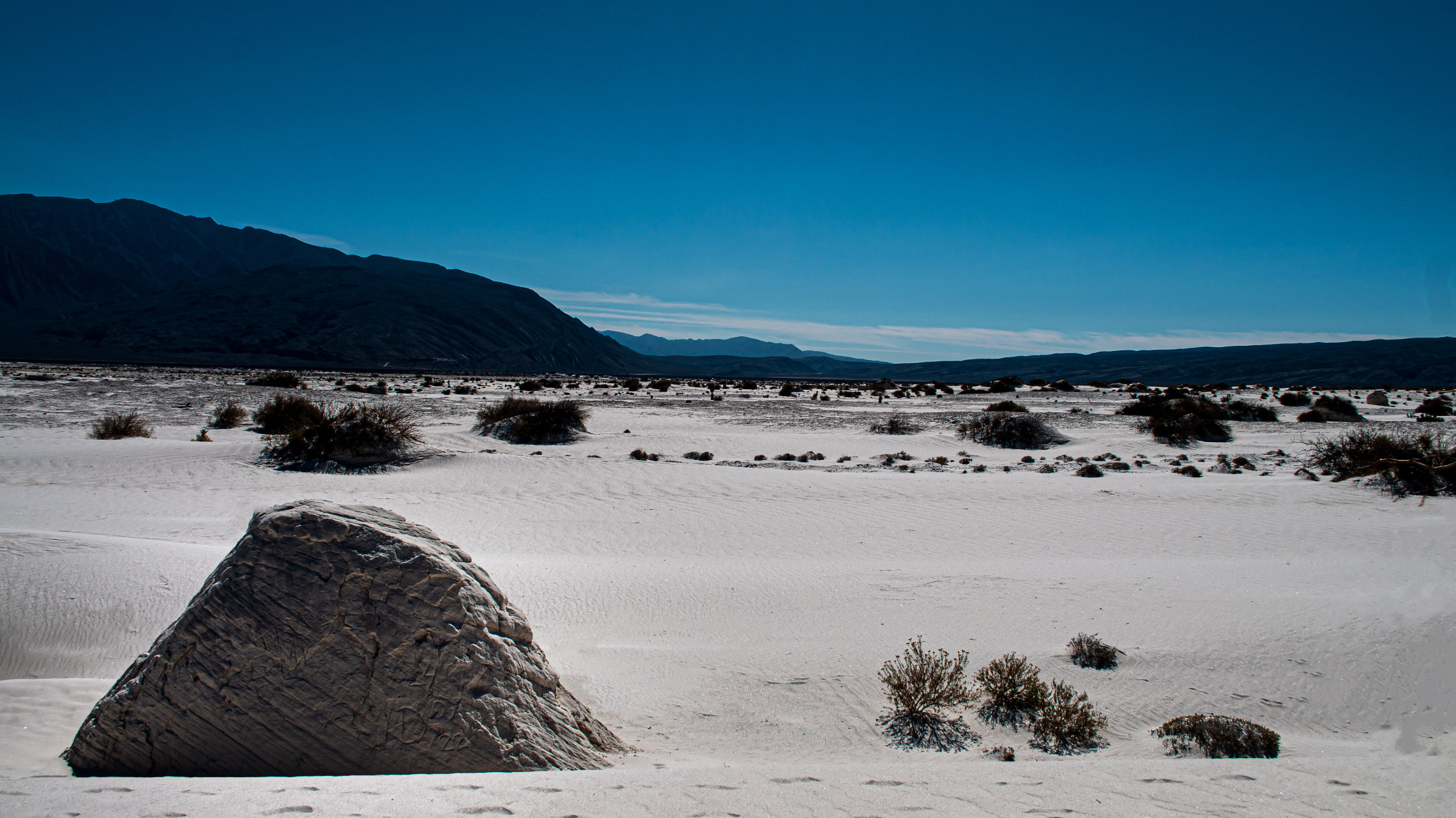 2023 01 Enero 24 Cuatrocienegas Dunas 2