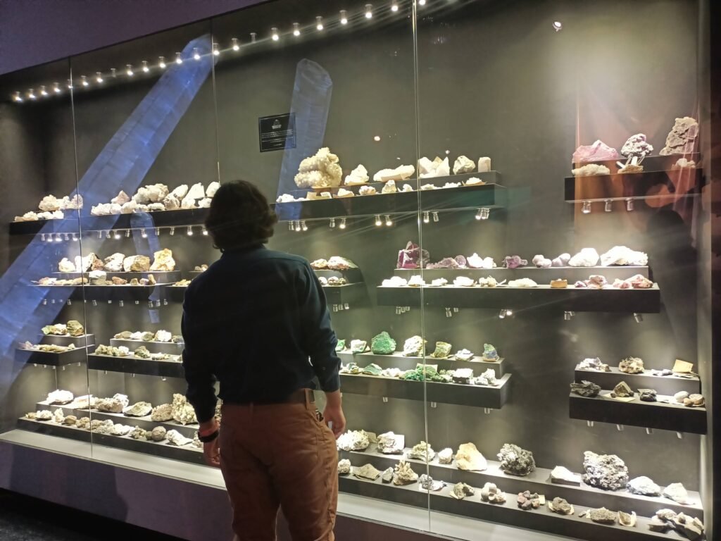 Museo del Desierto en Saltillo: Un Viaje al Pasado y Presente de México 3 IMG20220320164201