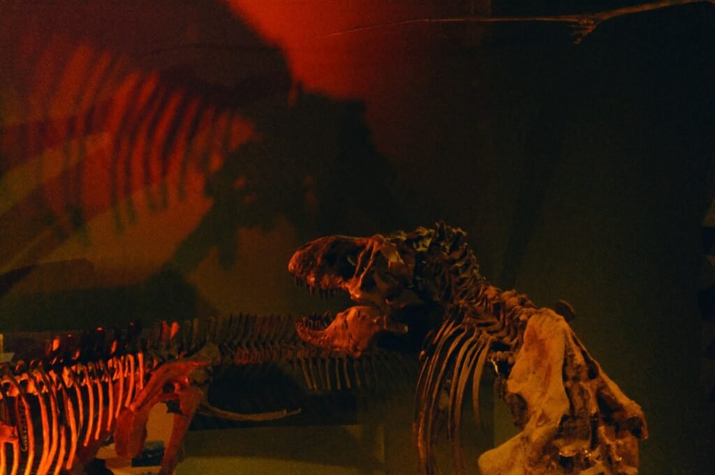 Museo del Desierto en Saltillo: Un Viaje al Pasado y Presente de México 1 IMG 20250408 101758