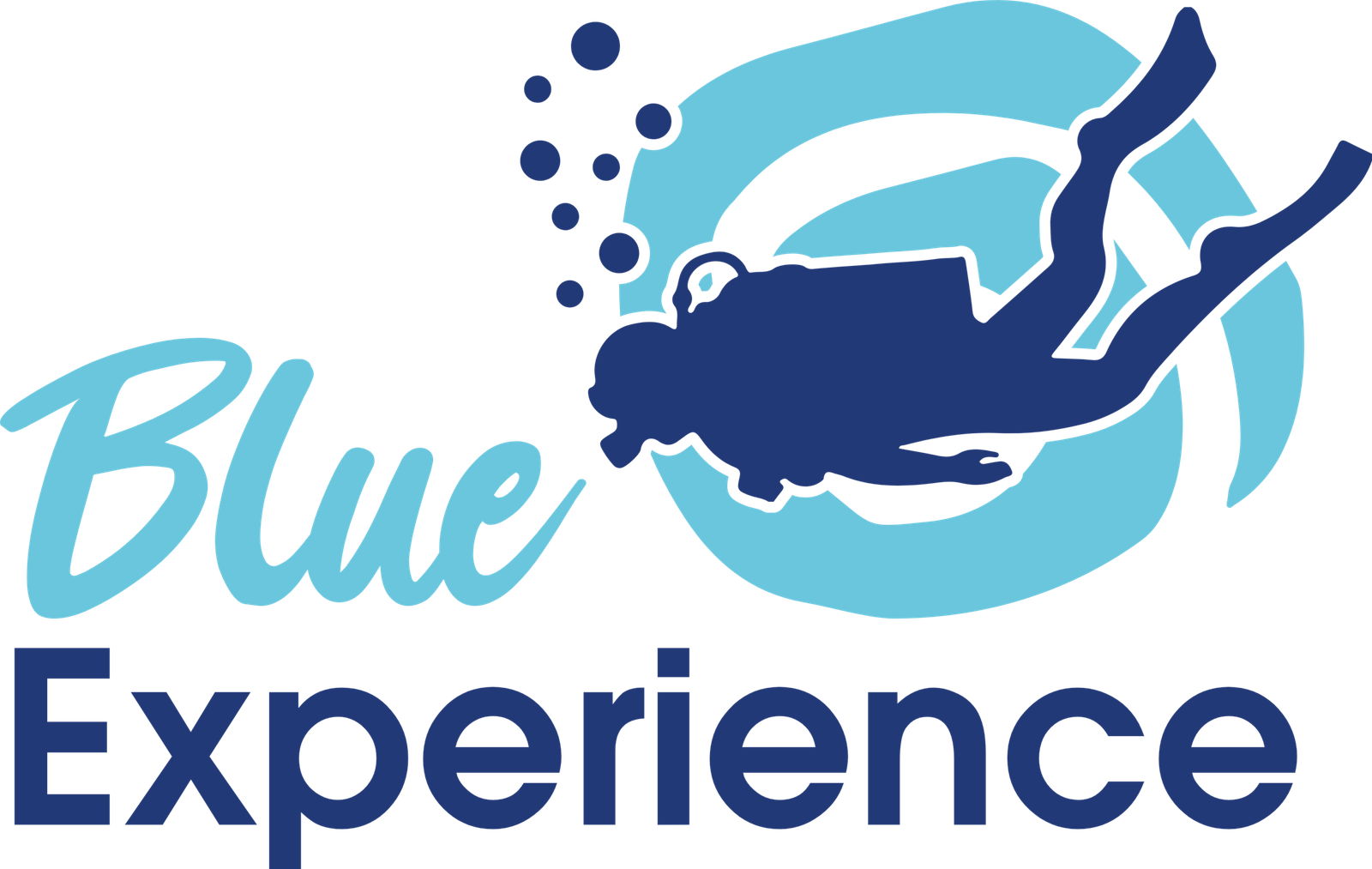 blue exp logo scaled